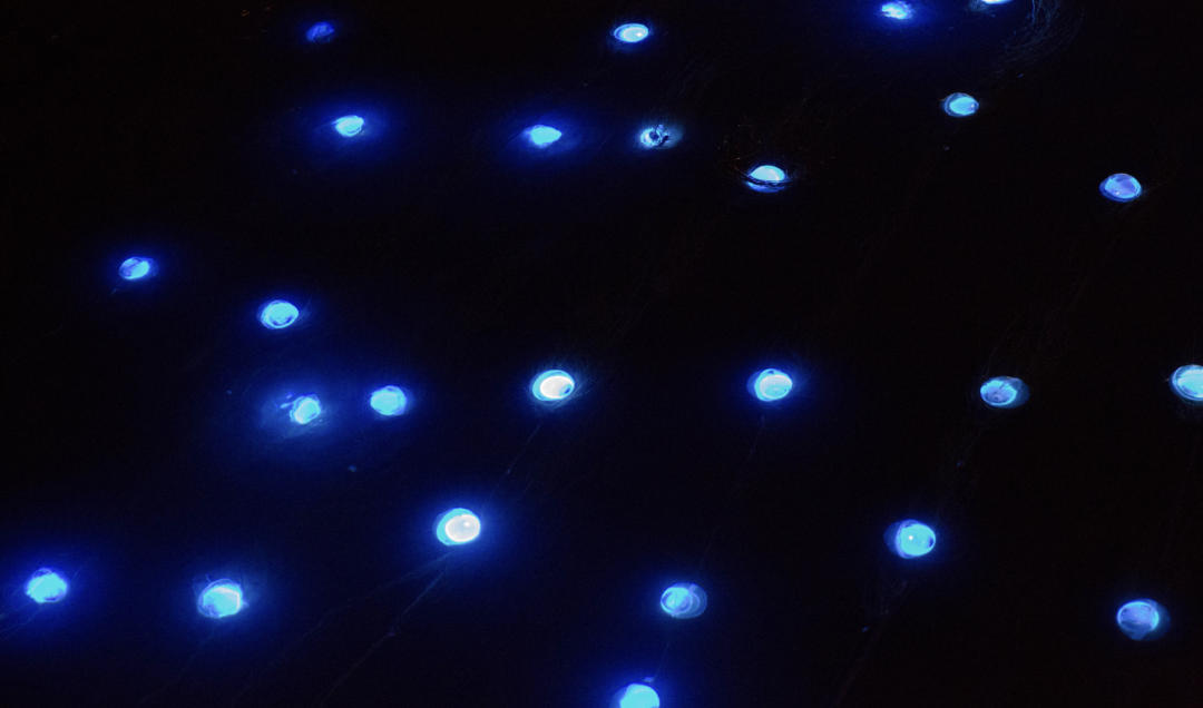 Alive Stream underwater light installation