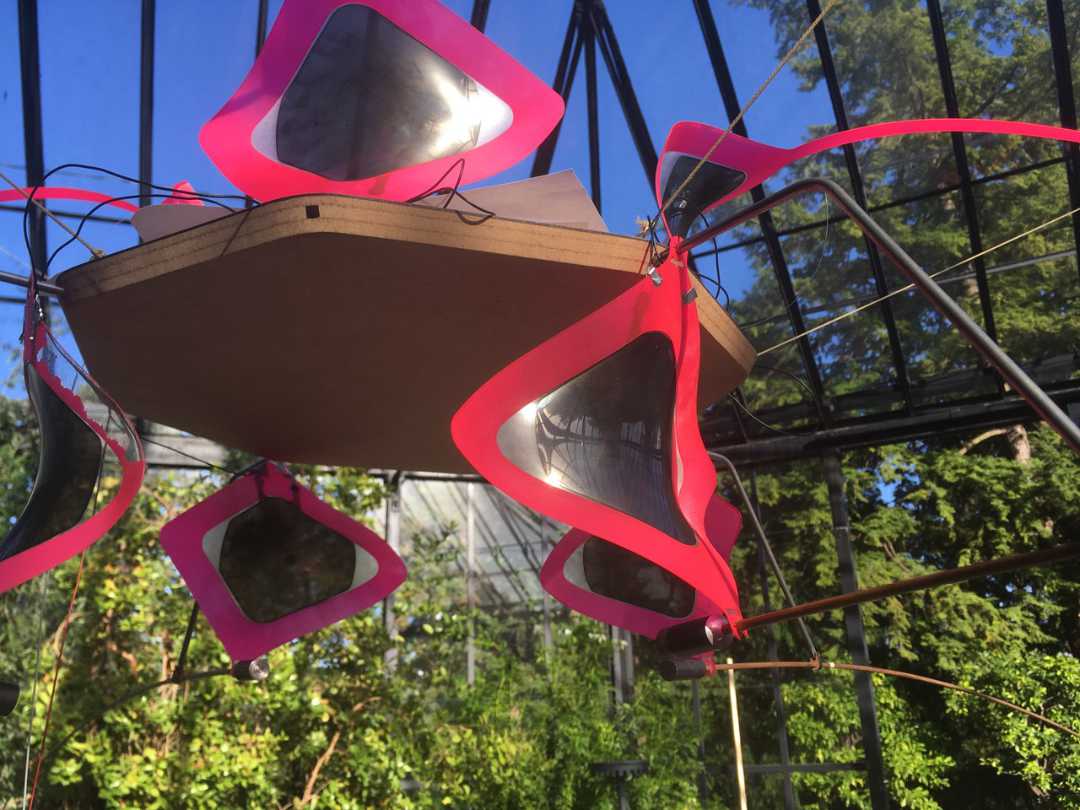 Electric Animal Plant interactive installation